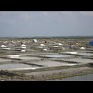 Salzproduktion in der Nähe von Marakkanam